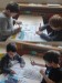 13f600ec-842a-4851-b407-9b7e6bd918e6